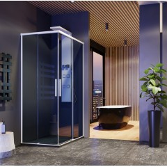 Sprchová zástěna X-FAKTOR R14 100x80 cm s posuvnými dveřmi 