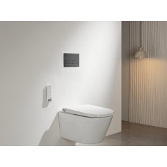 Ovladací tlačítko WC modulů Lite/Line - nerezová ocel - grafit/gun metal