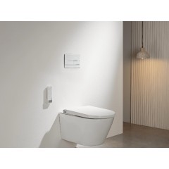 Ovladací tlačítko WC modulů Lite/Line - sklo - bílá lesklá