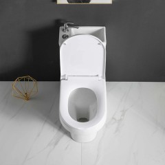 WC kombi s umývátkem Hygisink, Rimless + UF sedátko - spodní/zadní odpad - bílá lesklá - 71,5x36 cm