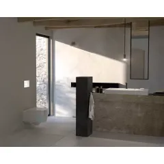 Geberit Ovládací tlačítko splachování, chrom 115.883.KH.1