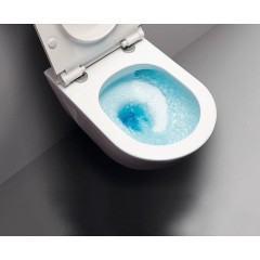 GSI - PURA závěsná WC mísa, Swirlflush, 36x55cm, bílá dual-mat 881509
