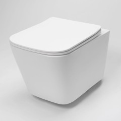 ALCADRAIN Sádromodul - předstěnový instalační systém s chromovým tlačítkem M1721 + WC REA Raul Rimless + SEDÁTKO AM101/1120 M1721 RA1
